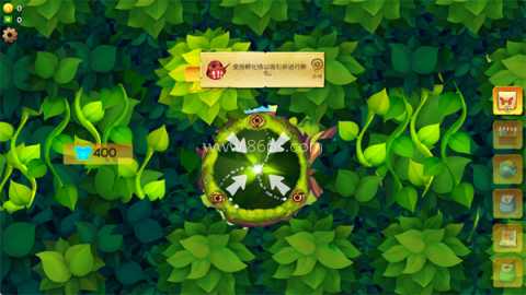 彩翼蝴蝶保护区