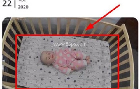 海马爸比 第8张图