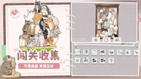 挤在一起的猫猫无限体力