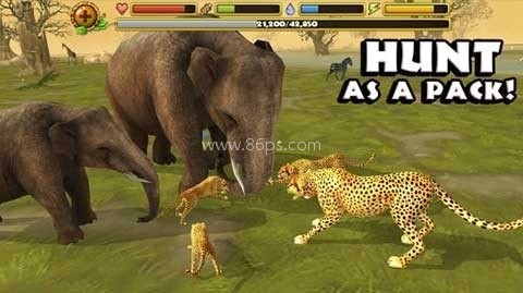 猎豹模拟器无限血量版