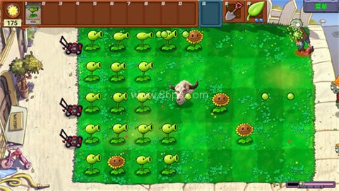 植物大战僵尸新指导版 第7张图