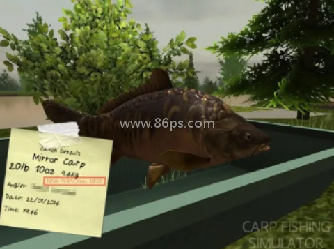 鲤鱼垂钓模拟器 鲤鱼垂钓模拟器