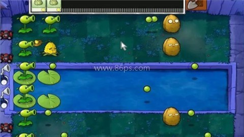 植物大战僵尸年度加强版 植物大战僵尸年度加强版