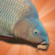 鲤鱼垂钓模拟器