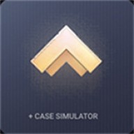 对峙2开箱模拟器