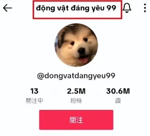 TikTok国际版 第3张图