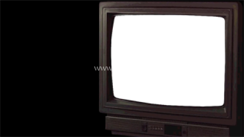 寻找伪人魅魔版 第15张图