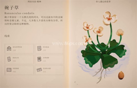 波坦尼庄园 第4张图