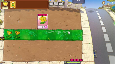 植物大战僵尸杨桃版 第4张图