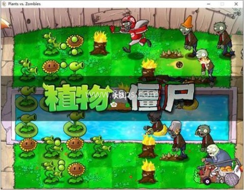 植物大战僵尸年度加强版 第6张图