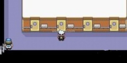 口袋妖怪究极绿宝石小智版 第7张图