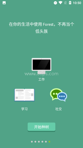 Forest专注森林