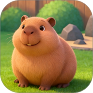 我的水豚小伙伴