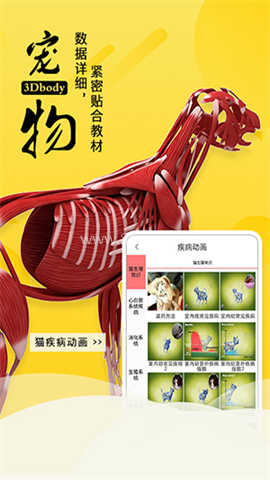 3dbody宠物app