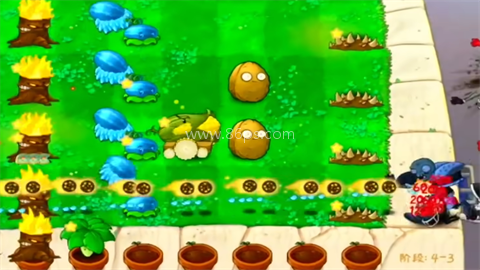 植物大战僵尸金铲铲版（lants Vs Zombies Golden chess）