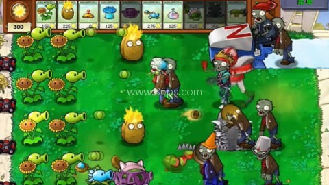 植物大战僵尸原版杂交版 第1张图