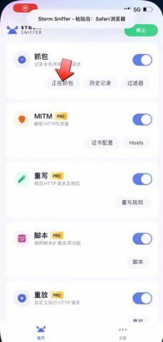 stormsniffer stormsniffer