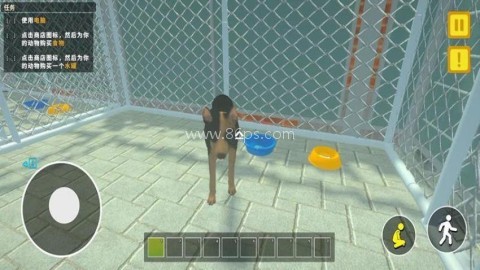 宠物救助站 第1张图