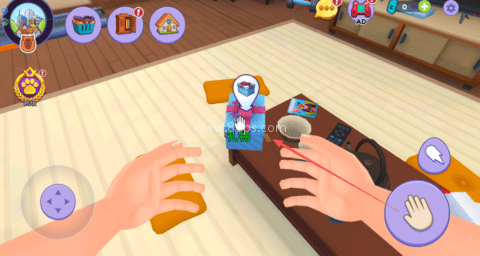 我的水豚小伙伴 我的水豚小伙伴