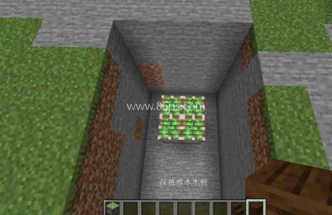 我的世界1.21基岩版 第14张图