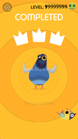 乱啄的鸽子 第2张图