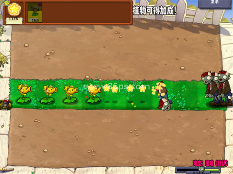 植物大战僵尸杨桃版