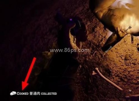 森林之子官网版 第3张图