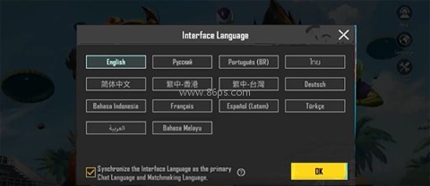 pubg越南服 第8张图