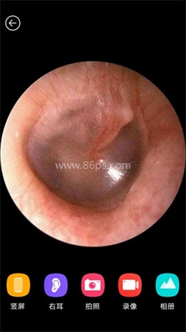 蜂鸟采耳官方版