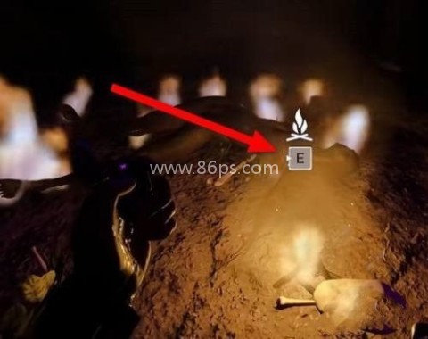 森林之子官网版 第1张图