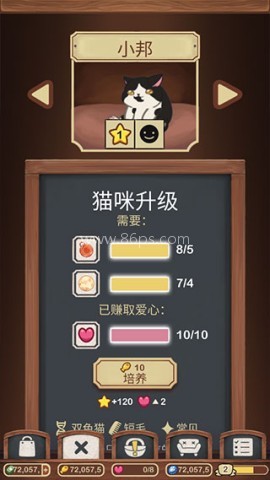 furistas绒毛猫咖啡厅 第6张图