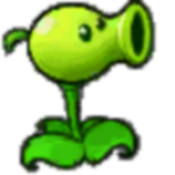 愤怒的植物大战僵尸捣蛋猪版