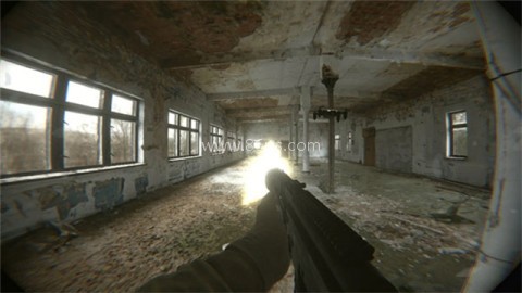 代号真实联机版