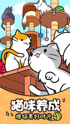 猫咪公寓 第2张图