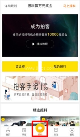 梨视频 第5张图