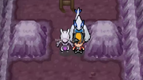 宝可梦银色之羽 第1张图