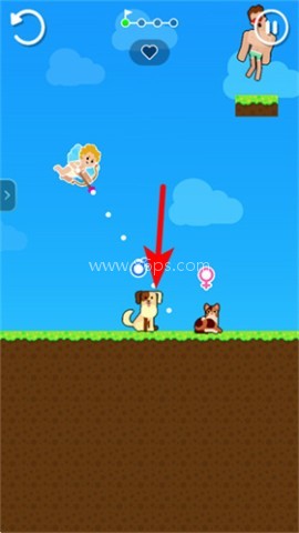 物种杂交模拟器 第6张图