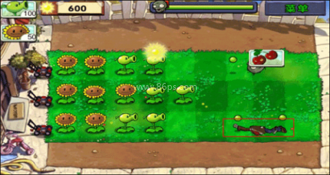 植物大战僵尸旧版