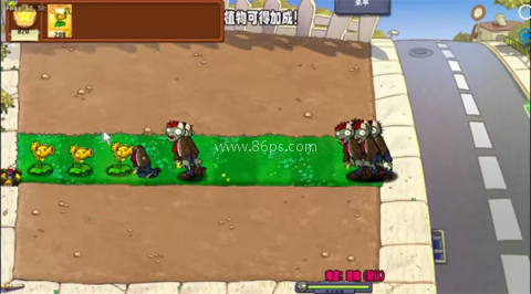 植物大战僵尸杨桃版 第3张图