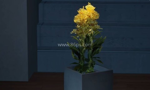 狼伴侣正版 第19张图