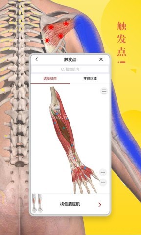 3dbody宠物app 第1张图