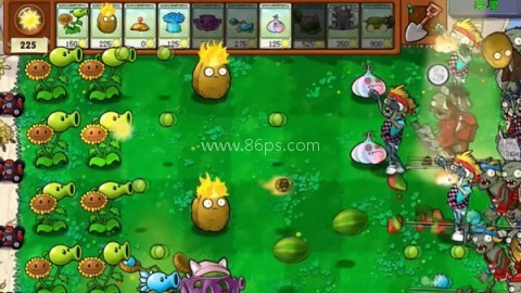 植物大战僵尸原版杂交版 第2张图