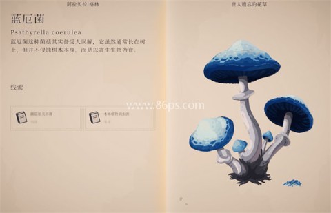 波坦尼庄园 第2张图