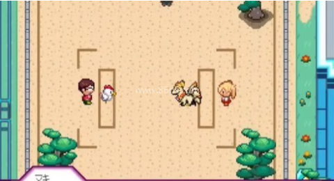 宝可梦迷之规则 第1张图