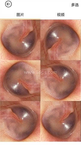 蜂鸟采耳官方版