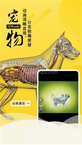 3dbody宠物app