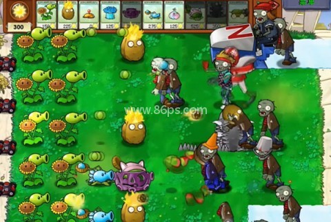 植物大战僵尸原版杂交版