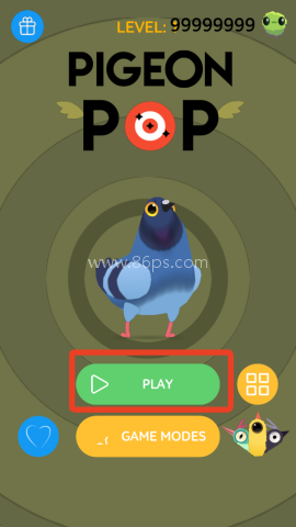 乱啄的鸽子 第1张图