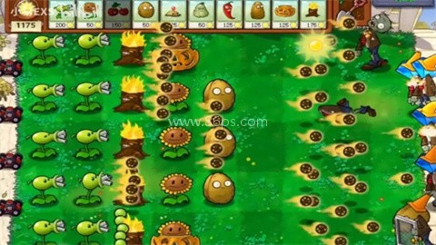 植物大战僵尸cl版（pvzzj）