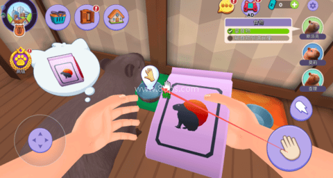 我的水豚小伙伴